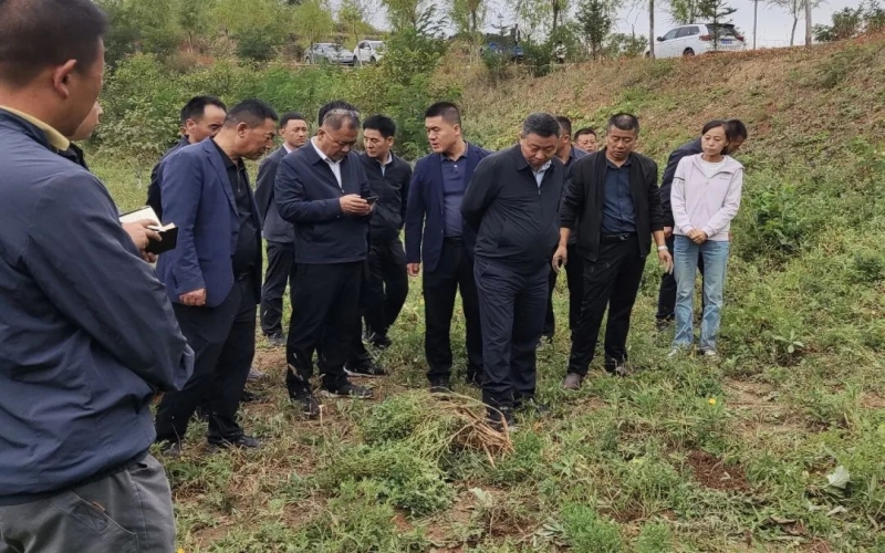 天水市政協(xié)副主席、清水縣委書記馬越垠到“榮程百草莊園”中藥材試驗基地調(diào)研中草藥產(chǎn)業(yè)發(fā)展工作
