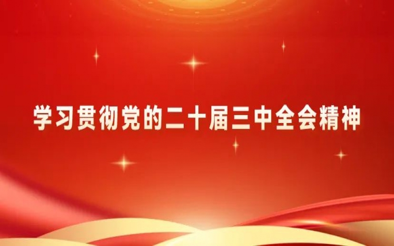 黨建陣地 - 榮程集團黨員干部學習貫徹黨的二十屆三中全會精神體會交流（三）